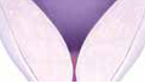 endometrium