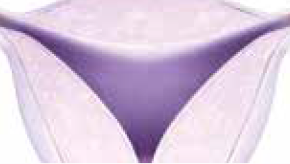 uterus